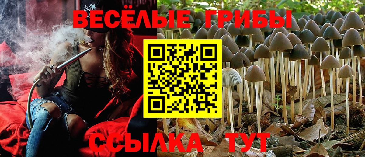 Ипатово  Псилоцибиновые грибы ЛСД  Псилоцибиновые грибы GOLDEN TEACHER  Вход с VPN 